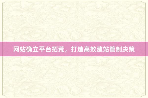 网站确立平台拓荒，打造高效建站管制决策
