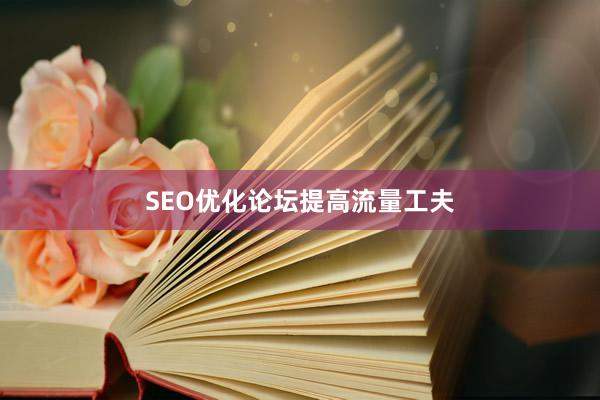 SEO优化论坛提高流量工夫