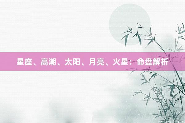 星座、高潮、太阳、月亮、火星：命盘解析