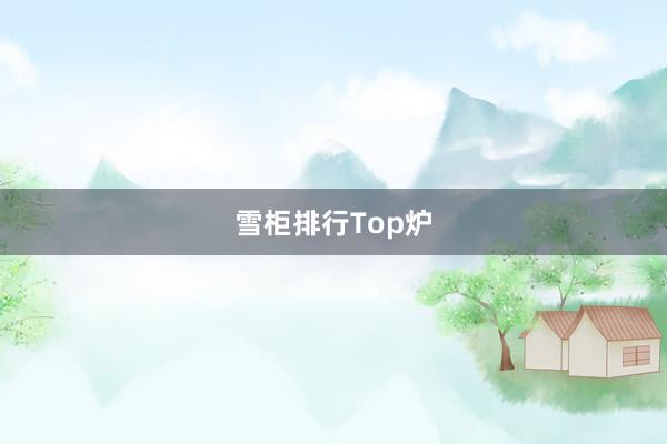 雪柜排行Top炉