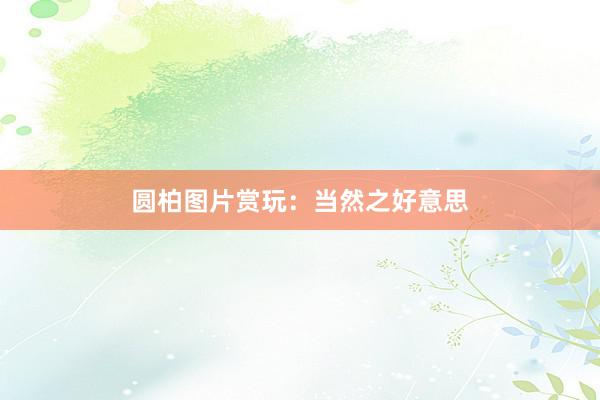 圆柏图片赏玩：当然之好意思
