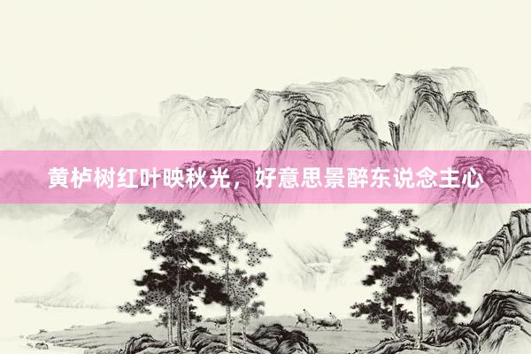 黄栌树红叶映秋光，好意思景醉东说念主心