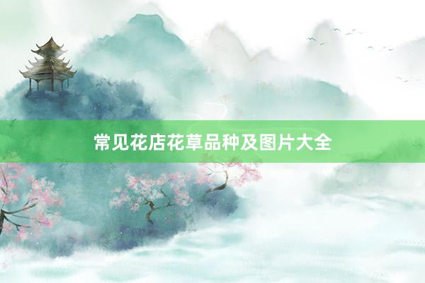 常见花店花草品种及图片大全