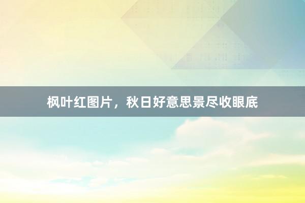 枫叶红图片，秋日好意思景尽收眼底